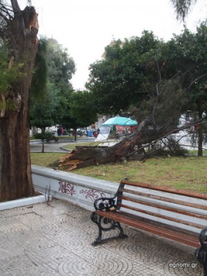 Έσπασε δένδρο στην πλατεία Αγίου Νικολάου