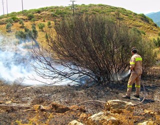 Έσβησαν την πυρκαγιά στον Πολυπόταμο