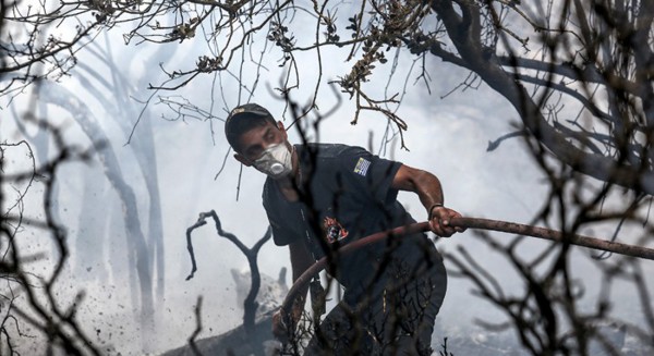 Αυτά είναι τα 13 μέτρα στήριξης των πυρόπληκτων από την κυβέρνηση