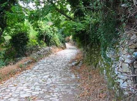 Λεφτά για μονοπάτια στην Κύμη