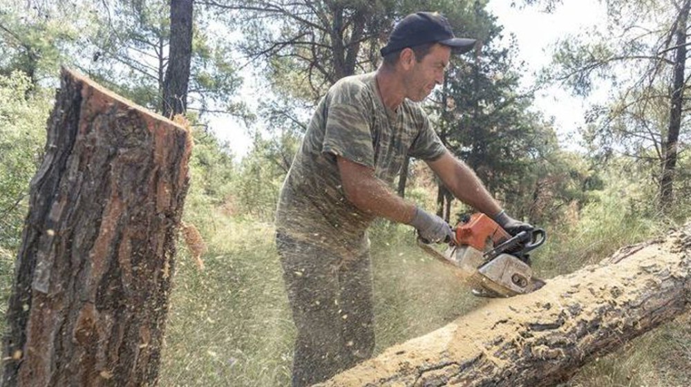 Οι ρετσινάδες της Εύβοιας ζητούν μέτρα προστασίας των εργαζομένων από τον καύσωνα