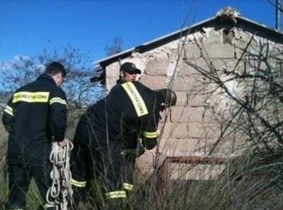 Έχασε τη ζωή του για να σώσει ένα γατάκι