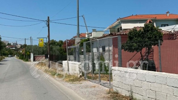 ΟΔΟΣ ΔΗΜΑΡΧΟΥ ΣΚΟΥΡΑ-ΧΑΛΚΙΔΑ: Έκανε φτερά ο καθρέφτης για τα ΙΧ
