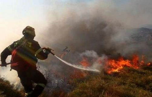 ΟΡΧΟΜΕΝΟΣ: Συναγερμός από φωτιά σε αγροτοδασική έκταση