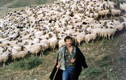 Να αποζημιωθούν οι κτηνοτρόφοι του Αλιβερίου