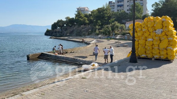 ΧΑΛΚΙΔΑ: Δίχτυα για τις μέδουσες στην πλαζ Σουβάλα (VIDEO)