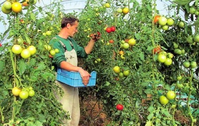 Απαράδεκτος ο αποκλεισμός των διαβητικών από την ενίσχυση Νέων Αγροτών