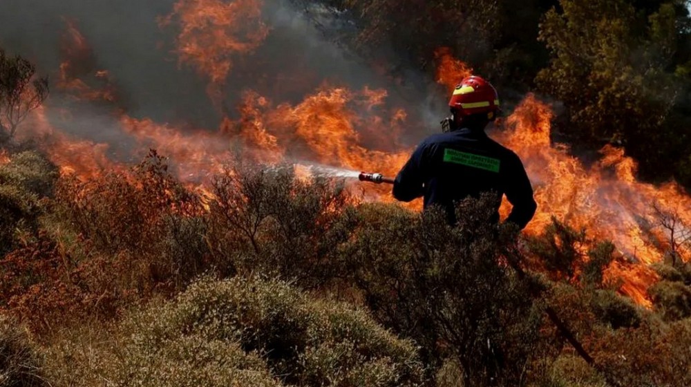ΕΥΒΟΙΑ: Φωτιά στο Παρθένι κινητοποίησε ισχυρές πυροσβεστικές δυνάμεις