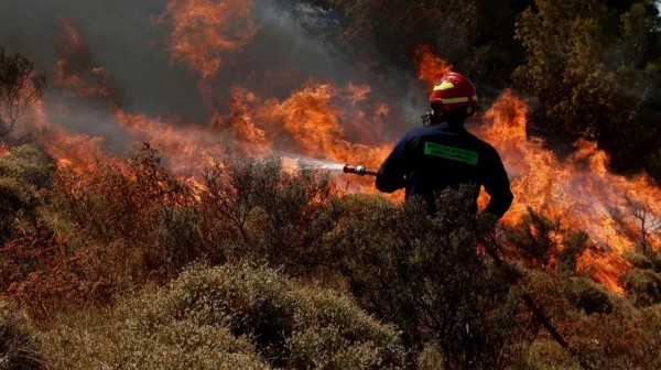 ΕΥΒΟΙΑ: Φωτιά στο Παρθένι κινητοποίησε ισχυρές πυροσβεστικές δυνάμεις