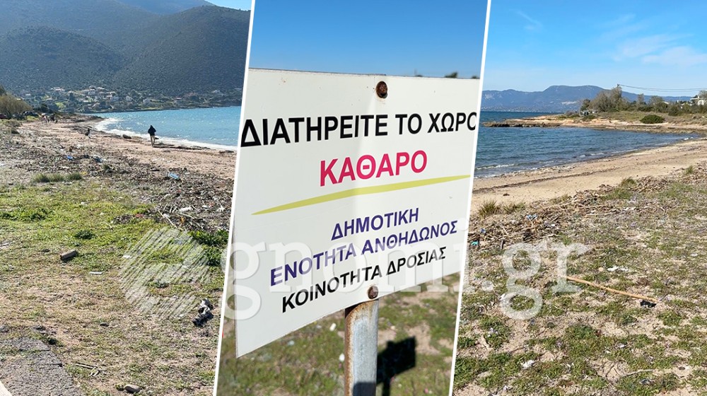 Πλαζ στη Δροσιά Χαλκίδας γεμάτη σκουπίδια (VIDEO)