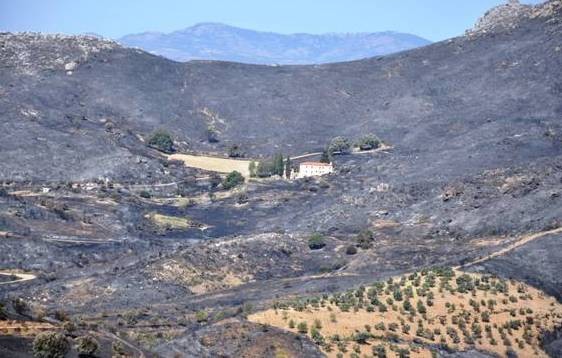 Οδοιπορικό της ΔΗΜΑΡ στην καμένη γη