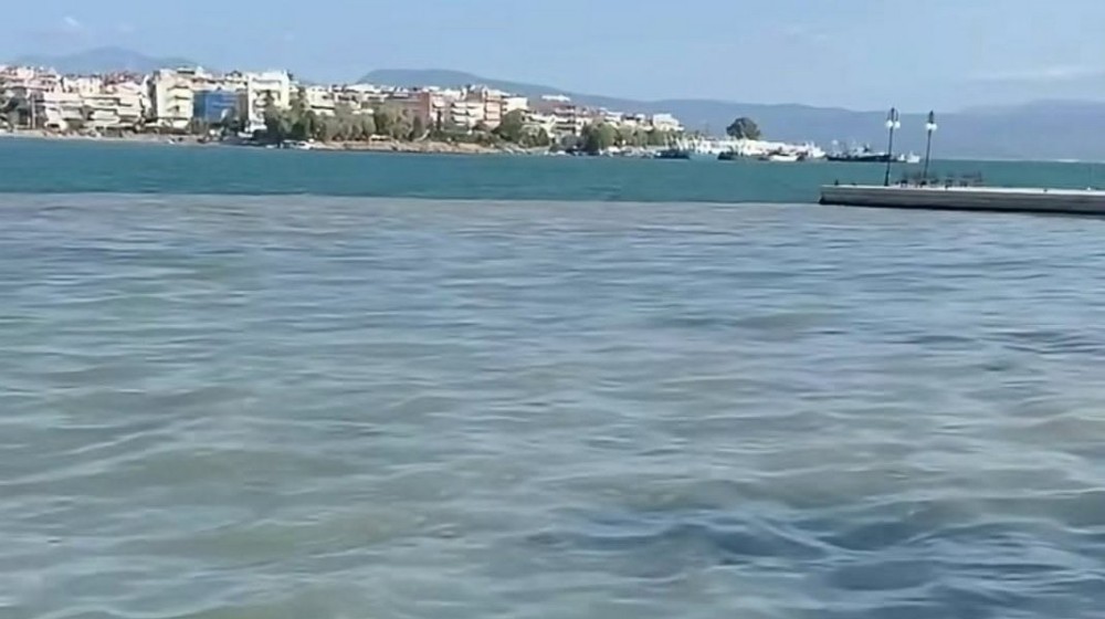 ΓΙΩΡΓΟΣ ΣΠΥΡΟΥ: Ζητάει τα αποτελέσματα των ελέγχων για τη ρύπανση στη παραλία της Χαλκίδας