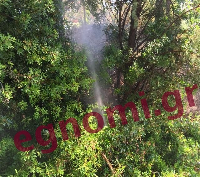 Βασιλικό: Πίδακας νερού από βλάβη