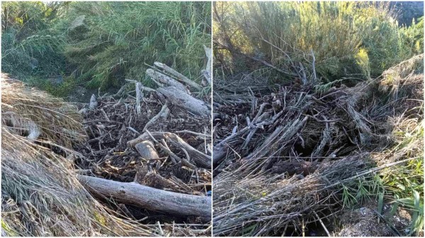 ΩΣ ΕΔΩ: Κραυγή από τους αγρότες για τις πλημμύρες στη Βόρεια Εύβοια