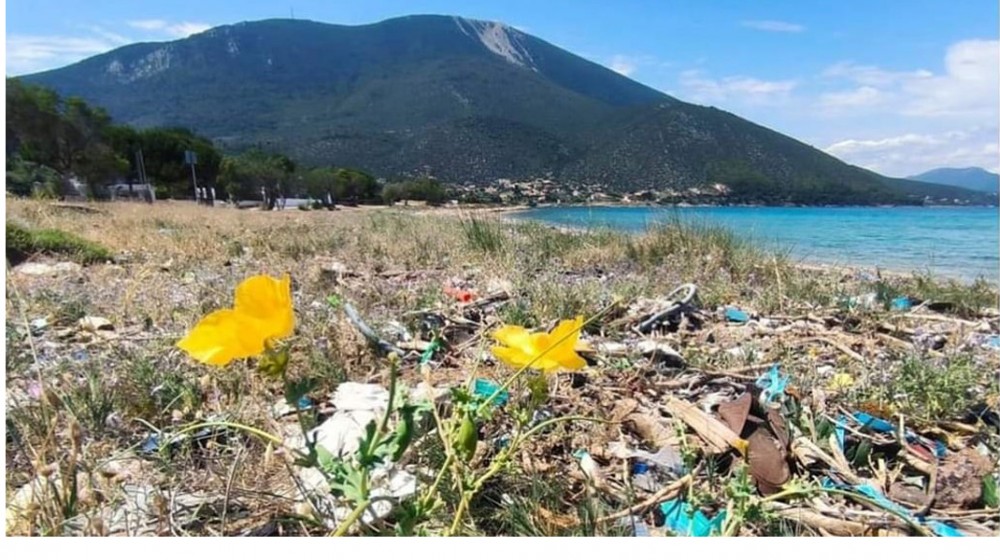 ΔΡΟΣΙΑ ΧΑΛΚΙΔΑΣ: Δράση καθαρισμού στην παραλία Βούθωνι