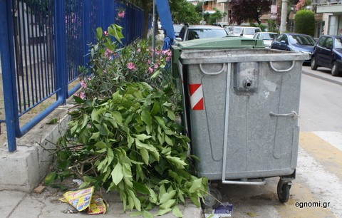 Πολλές μέρες τα κλαδιά στο πεζοδρόμιο