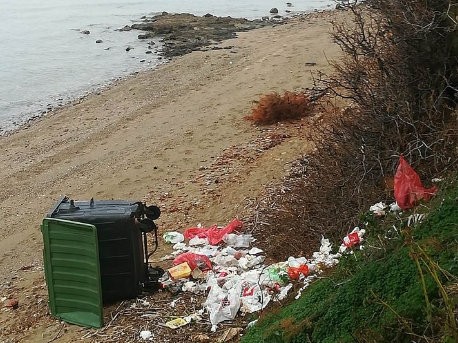 ΧΑΛΚΙΔΑ -ΕΞΩ ΠΑΝΑΓΙΤΣΑ: Κάφροι αναποδογύρισαν τον κάδο και γέμισαν την παραλία σκουπίδια