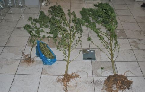 Συνελήφθησαν 317 άτομα τον Μάρτιο στην Περιφέρεια Στερεάς