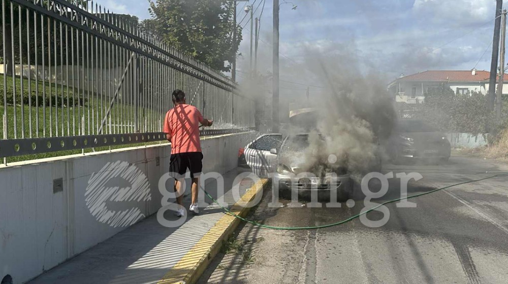 ΔΥΟ ΔΕΝΤΡΑ ΧΑΛΚΙΔΑ: ΙΧ έπιασε φωτιά εν κινήσει (VIDEO)