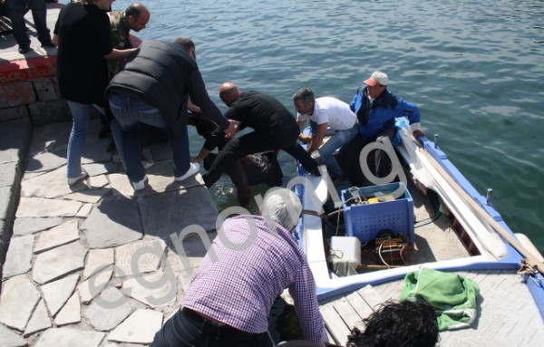 Χαλκίδα: Έπεσε από τη Γέφυρα του Eυρίπου για να πνιγεί