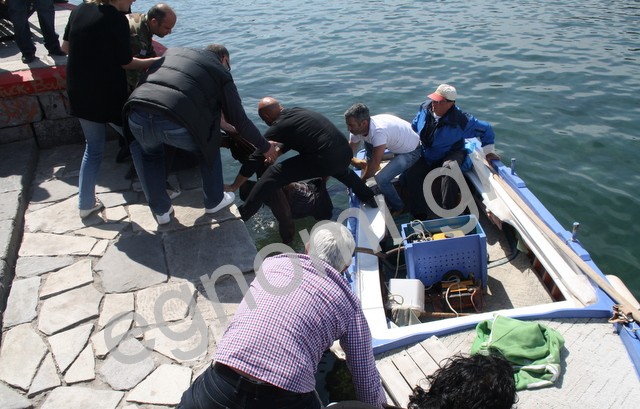 Χαλκίδα: Έπεσε από τη Γέφυρα του Eυρίπου για να πνιγεί
