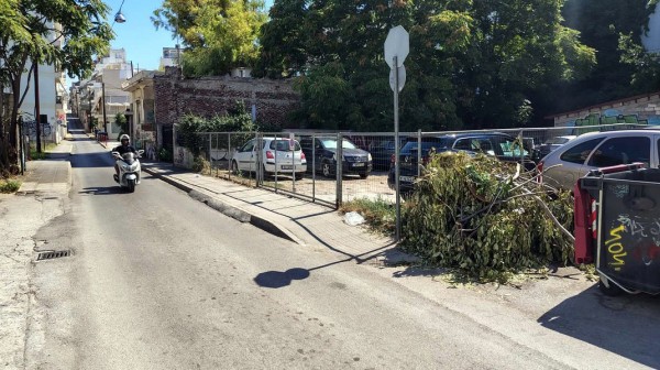 ΧΑΛΚΙΔΑ: Ξερά κλαδιά σε σημείο-παγίδα για φωτιά στη συμβολή των οδών Αντιόπης και Κακαρά