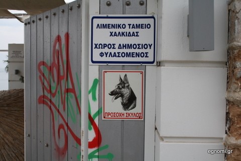 Σκύλος ... δολοφόνος