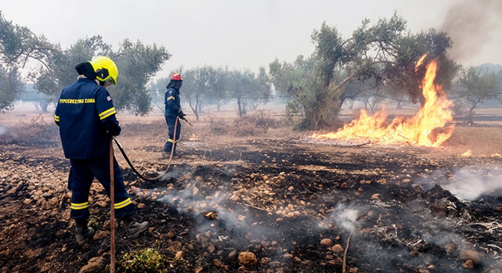 Σε απόγνωση πυρόπληκτοι παραγωγοί της Βόρειας Εύβοιας