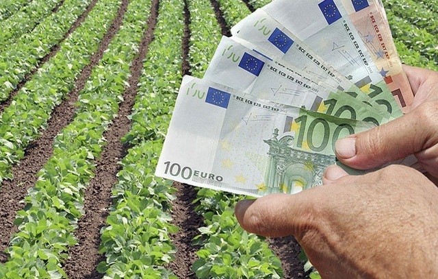 Στους λογαριασμούς αγροτών και κτηνοτρόφων το 70% της βασικής επιδότησης
