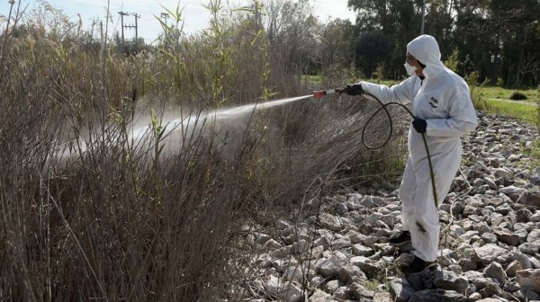 Ψεκασμοί για τα κουνούπια σε όλη την Εύβοια – Αναλυτικά το πρόγραμμα της εβδομάδα ανά ημέρα