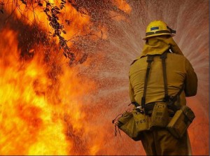 ΠΟΥΡΝΟΣ-ΠΙΣΣΩΝΑΣ: Πυρκαγιά καίει το καταπράσινο δάσος