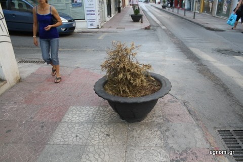 Θέλουν και φροντίδα οι γλάστρες...