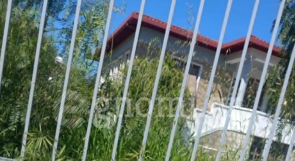 Ζούγκλα το 4ο ΚΑΠΗ Χαλκίδας