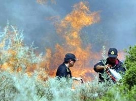 Ανεξέλεγκτη πυρκαγιά στη νότια Εύβοια