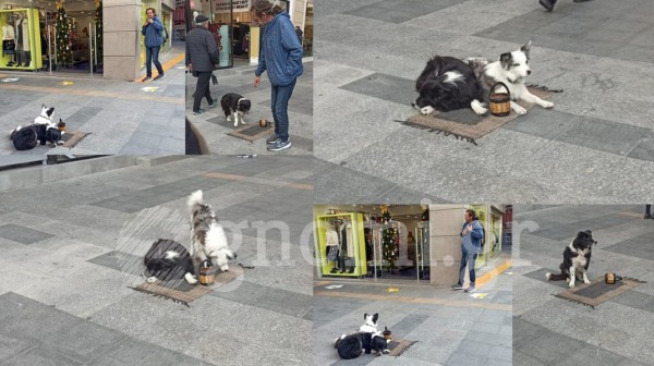 ΧΑΛΚΙΔΑ: Από τις σελίδες του Έκτορος Μαλό στον πεζόδρομο της Αβάντων