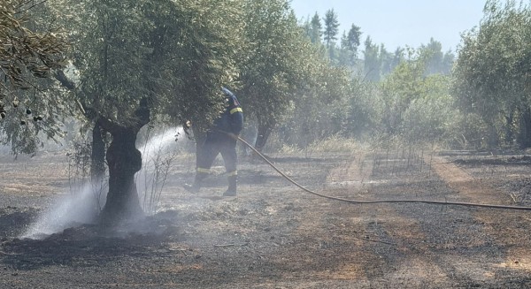 ΒΟΡΕΙΑ ΕΥΒΟΙΑ: Φωτιά στην Μονοκαρυά Ιστιαίας