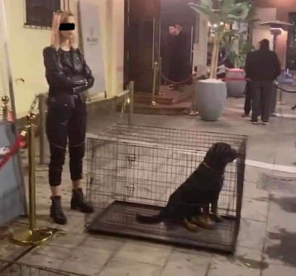 Κλουβιά με σκυλιά έξω από νυχτερινό κέντρο προκαλούν αντιδράσεις