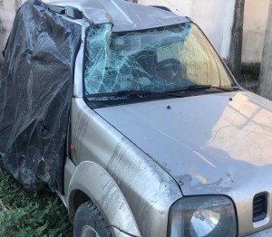 ΠΑΛΙΟΥΡΑΣ: Αγριογούρουνα προκάλεσαν ατύχημα