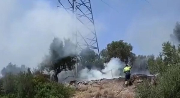 ΜΗΛΑΚΙ ΑΛΙΒΕΡΙΟΥ: Τέθηκε υπό έλεγχο η φωτιά