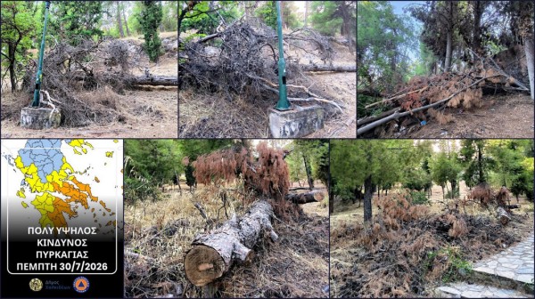 ΝΤΡΟΠΗ: Πλήρης ετοιμότητα στα λόγια - Οι εικόνες από το αλσύλλιο Κανήθου διαψεύδουν τον Δήμο Χαλκιδέων