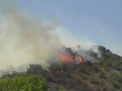 Χαλκίδα: Μάχη με τις φλόγες στη Δροσιά