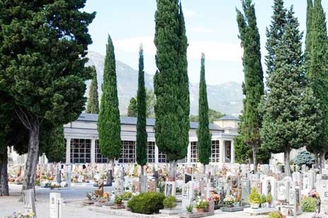 Γιατί στα νεκροταφεία υπάρχουν μόνο κυπαρίσσια;
