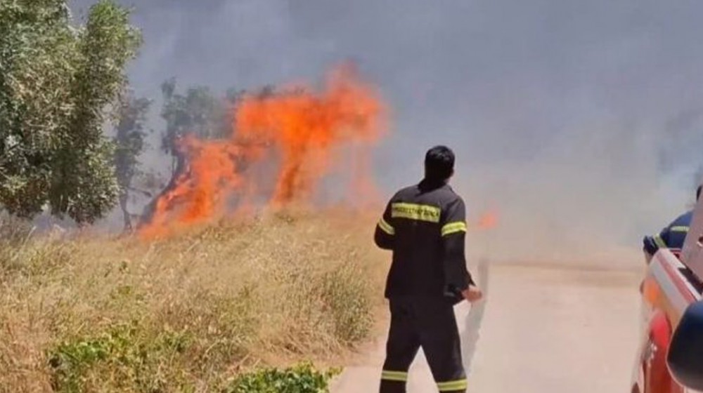 ΕΥΒΟΙΑ: Άρπαξε φωτιά και στην Κάρυστο το μεσημέρι της Τρίτης