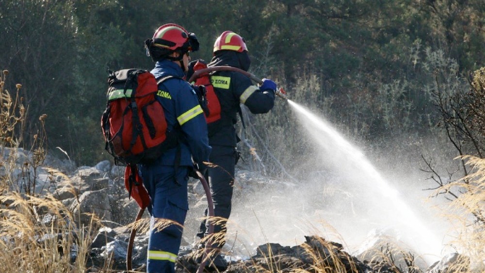 Φωτιά στο Κόμιτο Καρύστου - Άμεση κινητοποίηση της Πυροσβεστικής με επίγειες και εναέριες δυνάμεις