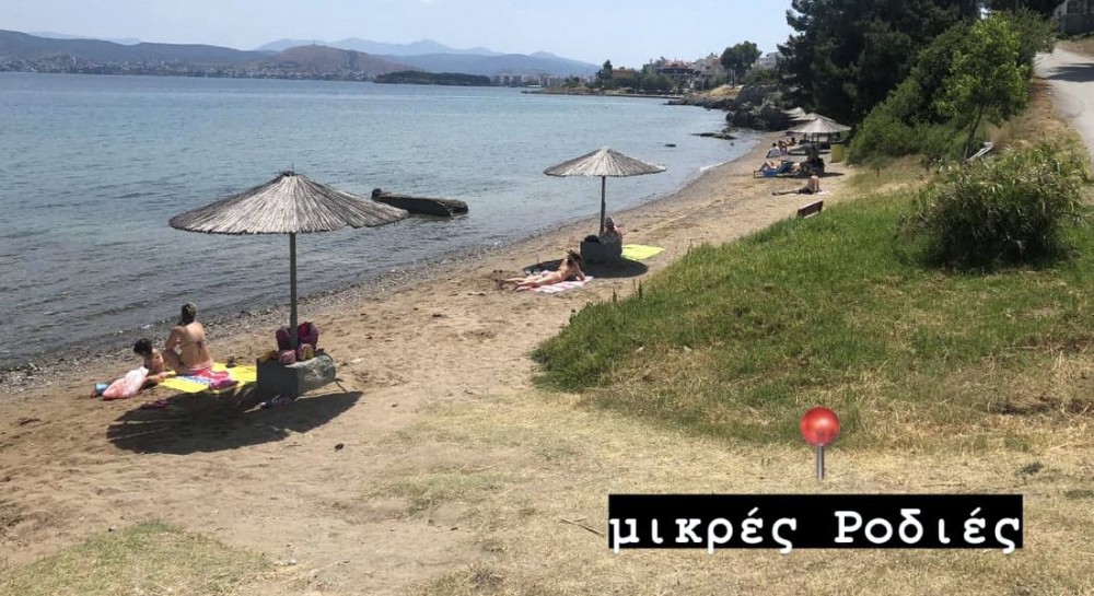 ΧΑΛΚΙΔΑ: Αίτημα για προστασία από τις μέδουσες στις παραλίες της Κανήθου
