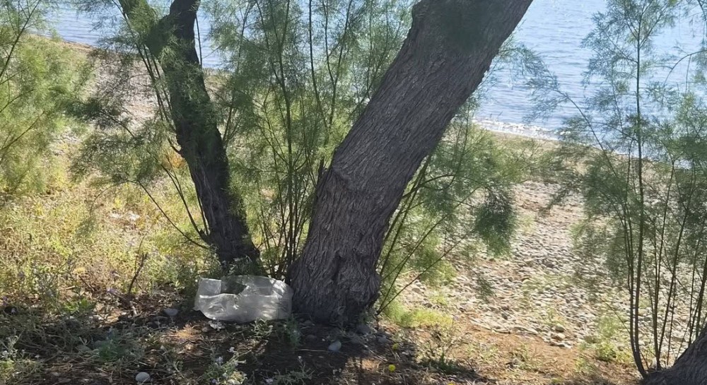 ΠΑΡΑΛΙΑ ΑΥΛΙΔΑΣ: Εθελοντικός καθαρισμός στις ακτές