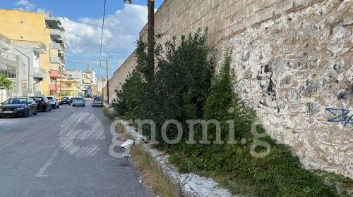 ΔΗΜΟΤΙΚΟ ΣΤΑΔΙΟ ΧΑΛΚΙΔΑΣ: Αδιάβατο το πεζοδρόμιο-ζούγκλα