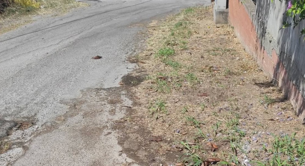 ΧΑΛΚΙΔΑ ΟΔΟΣ ΔΡΥΑΔΩΝ: Σε άθλια κατάσταση το οδόστρωμα