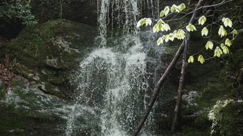 Τραγωδία: Νεκρή 18χρονη σε εκδρομή στους Καταρράκτες Δερματά