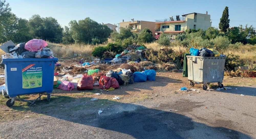 ΧΑΛΚΙΔΑ: Απαράδεκτη εικόνα σε γειτονιά της Κανήθου το πρωί της Τρίτης